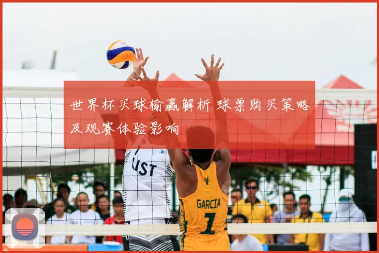 世界杯买球输赢解析 球票购买策略及观赛体验影响