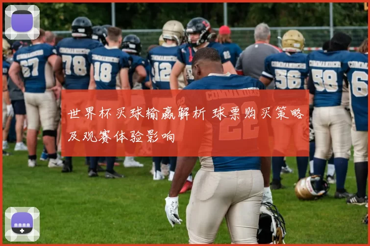 世界杯买球输赢解析 球票购买策略及观赛体验影响