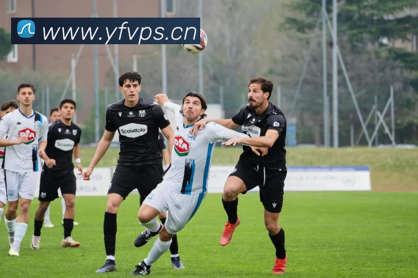 多媒体互动体验